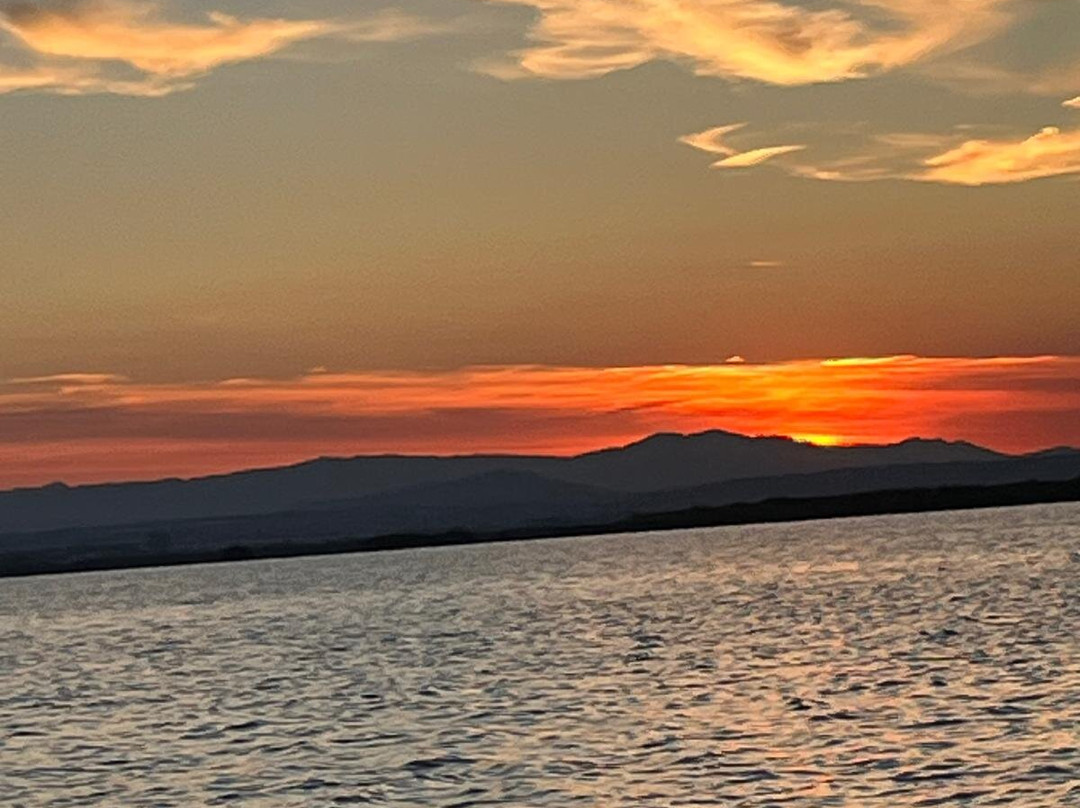 Visit Albufera-巴伦西亚必去景点