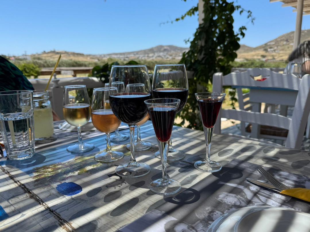 Mykonos Vioma Organic Farm-阿诺梅拉村必去景点