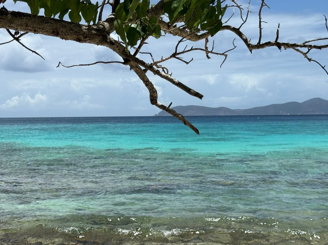 Maho Bay Beach-克鲁兹湾必去景点