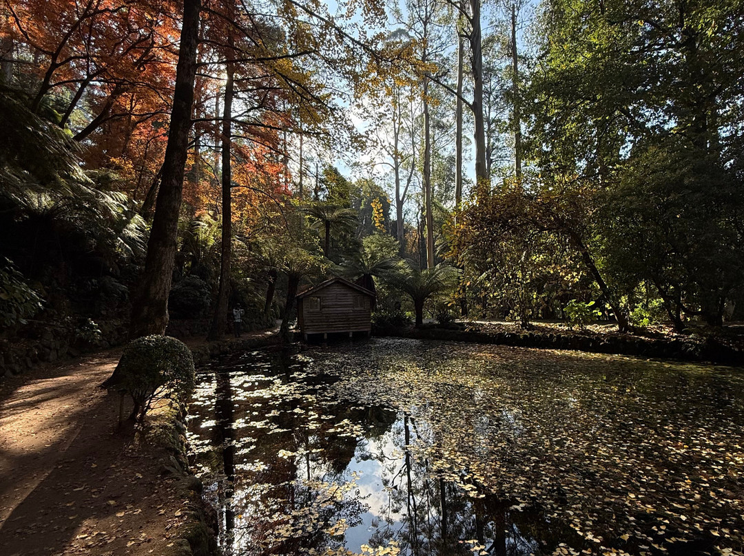 Alfred Nicholas Memorial Gardens-希尔布鲁克必去景点