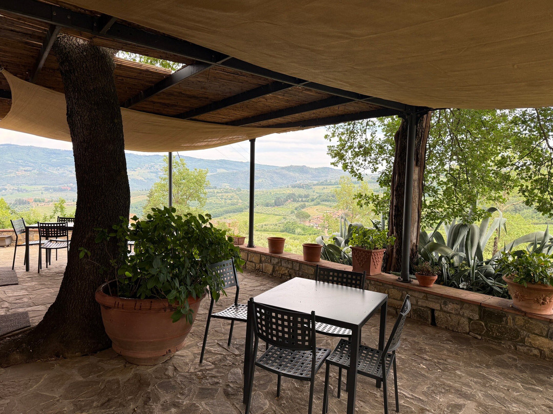 Podere Le Cinciole-Panzano in Chianti必去景点
