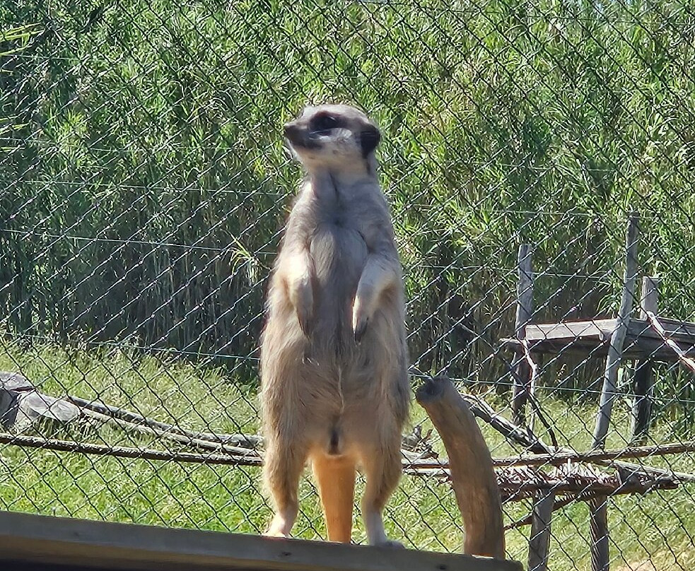 Corsica Zoo-Olmeta di Tuda必去景点