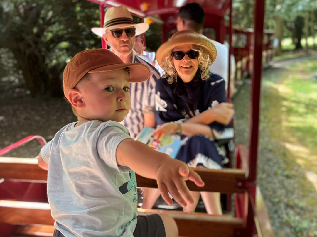 Audley End Miniature Railway-Saffron Walden必去景点