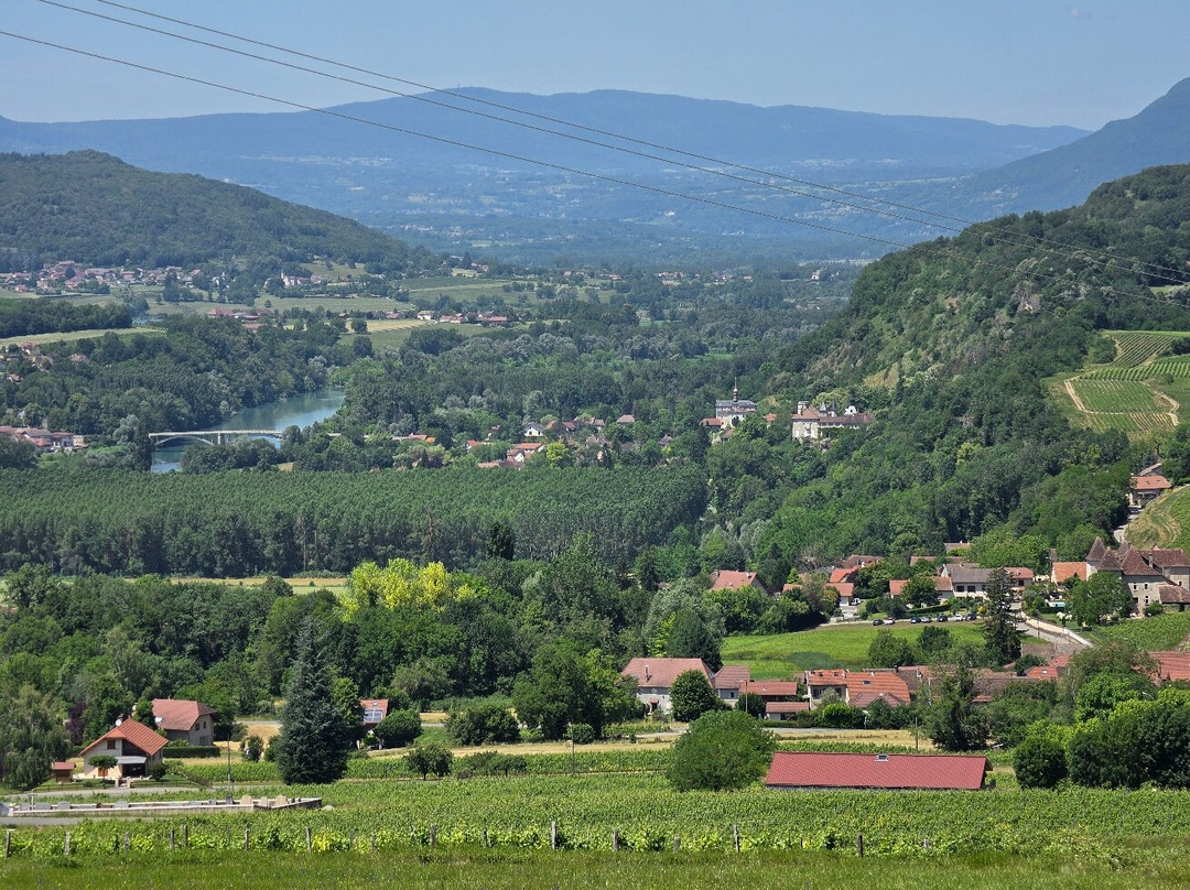 Domaine Carrel & Senger