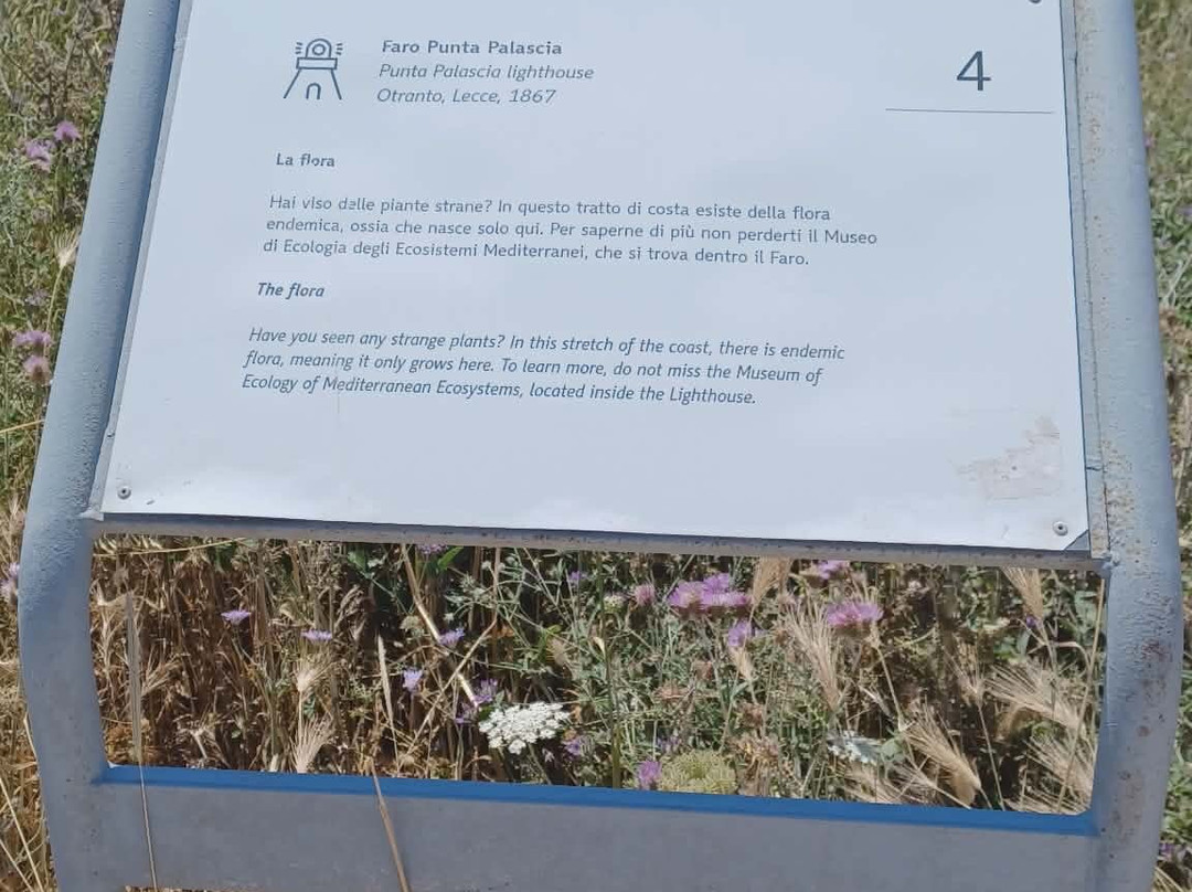 Faro di Punta Palascia-奥特朗托必去景点
