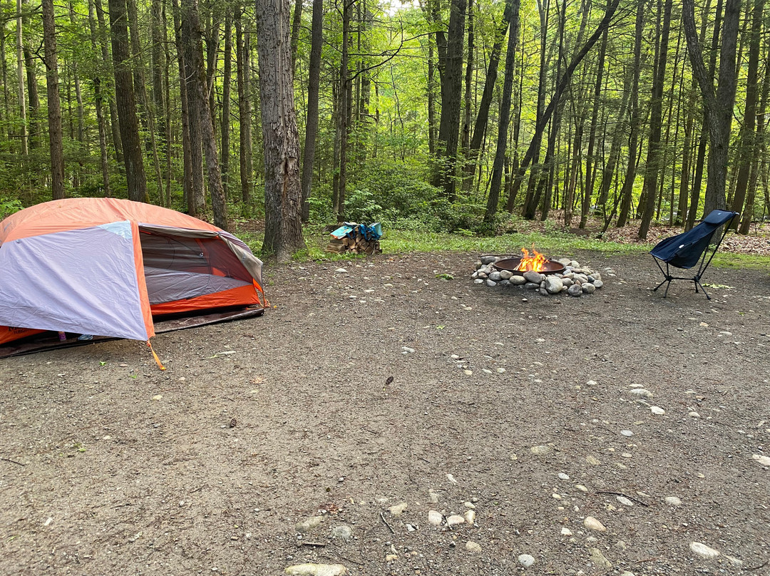 American Legion and Peoples State Forests-Barkhamsted必去景点