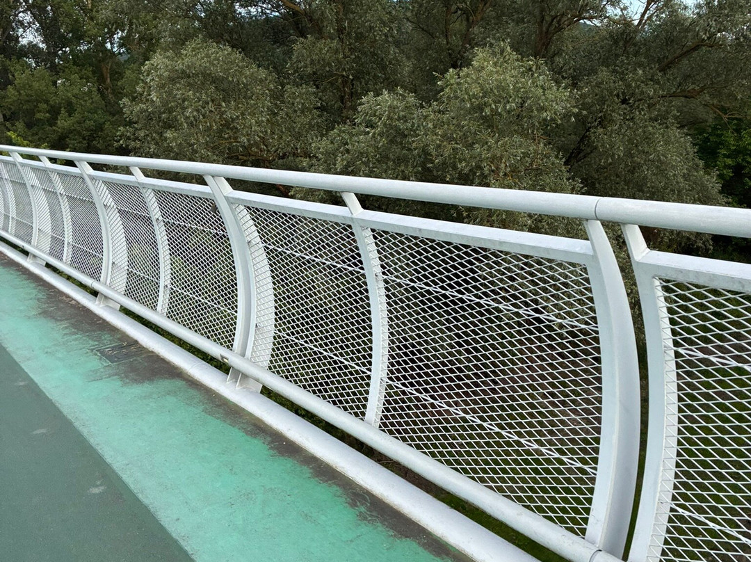 Freedom Cycling Bridge-Devinska Nova Ves必去景点