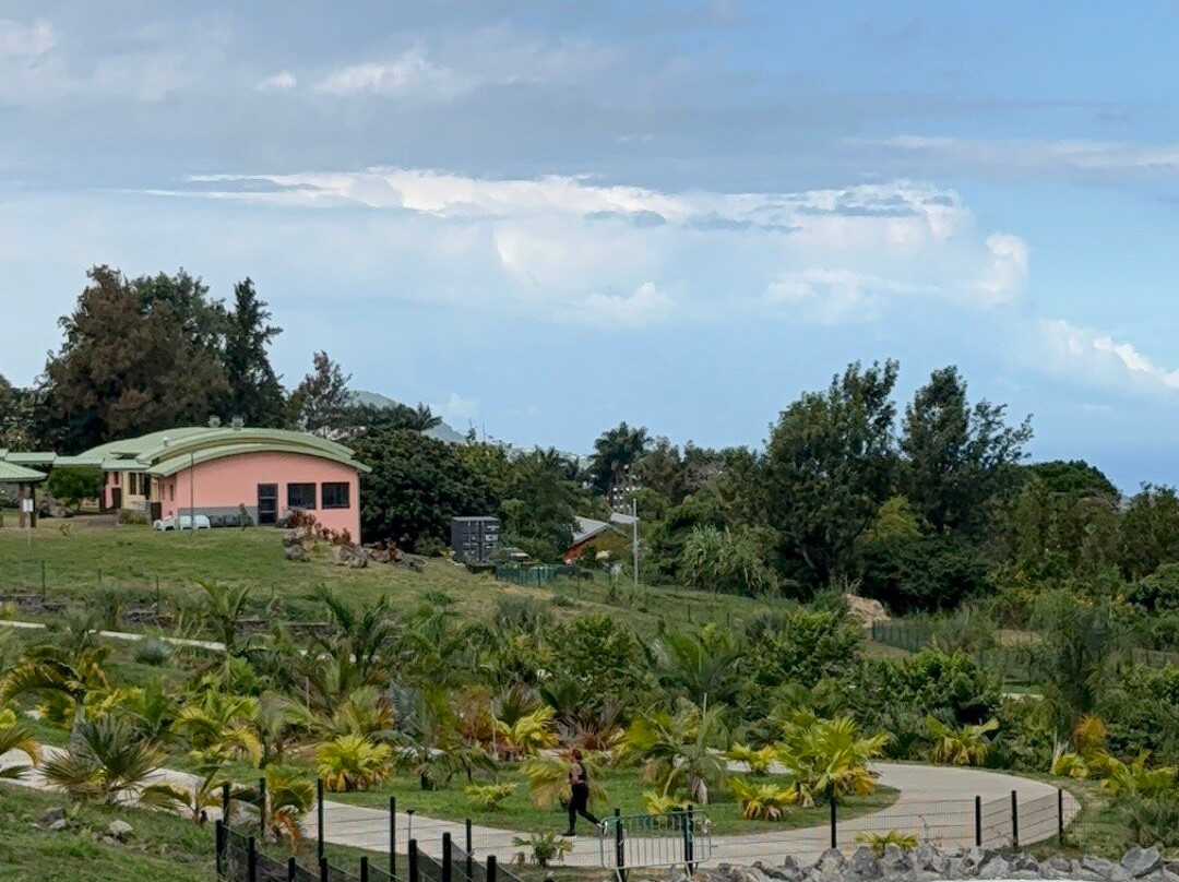 Parc des Palmiers-Le Tampon必去景点