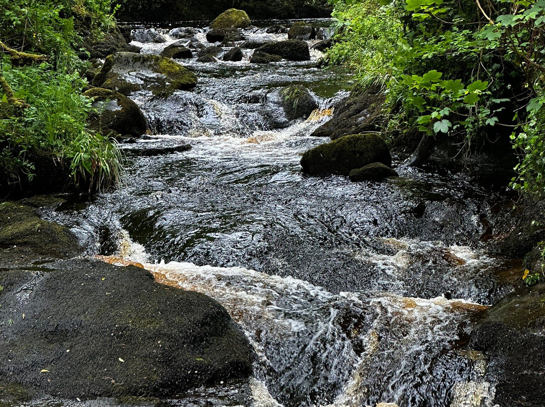 Glenariff Forest Park-County Antrim必去景点
