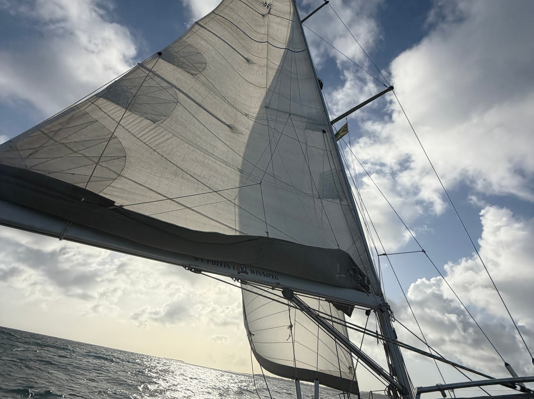 LTD Sailing-St. George's必去景点