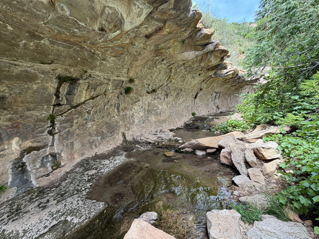 Sitting Bull Falls-卡尔斯巴德必去景点