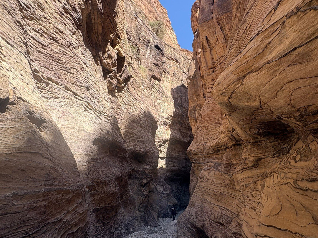 Jordan Trail Adventures-佩特拉必去景点