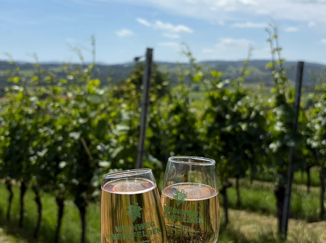 Wein-Wanderweg Weinfelden-Weinfelden必去景点