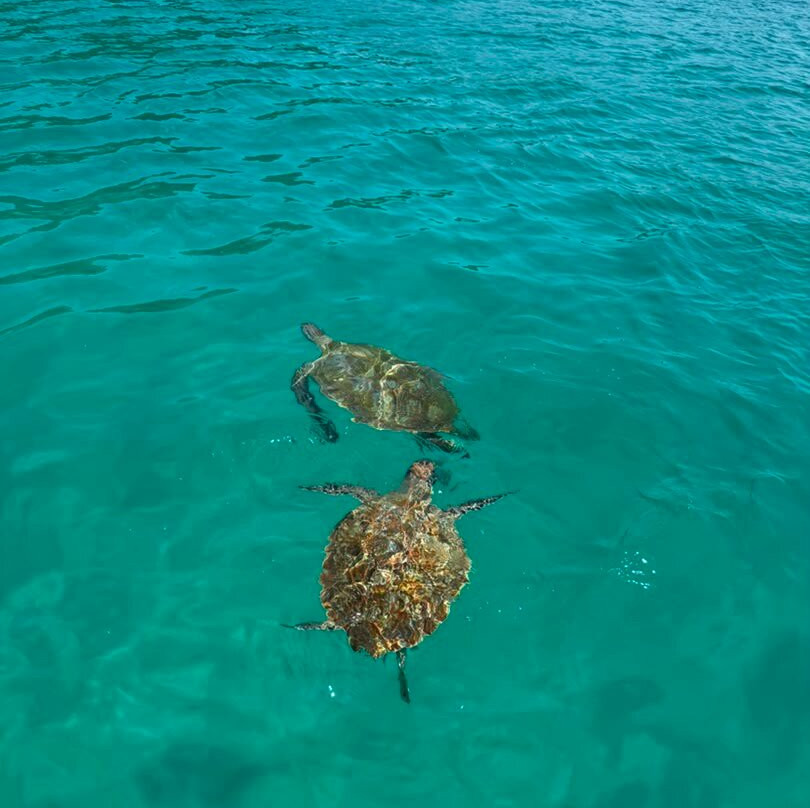 Redang Island Snorkeling Day Trip with Lunch-热浪岛必去景点