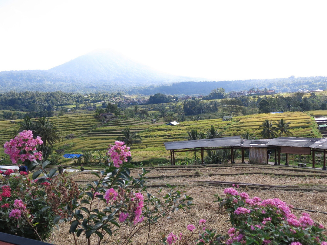 Kubu Terrace Jatiluwih Official-Jatiluwih必去景点