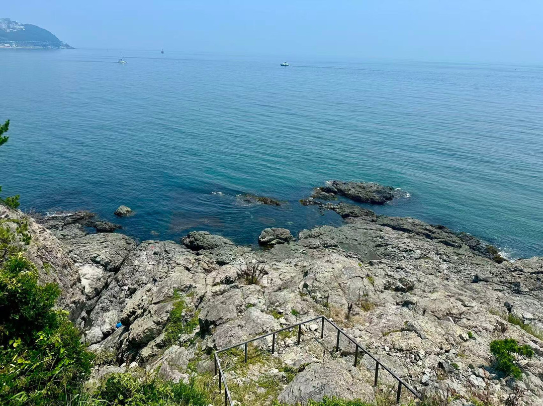 Dongbaekseom-釜山必去景点