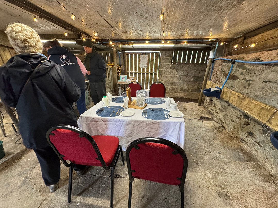 Withyburn Croft Tours