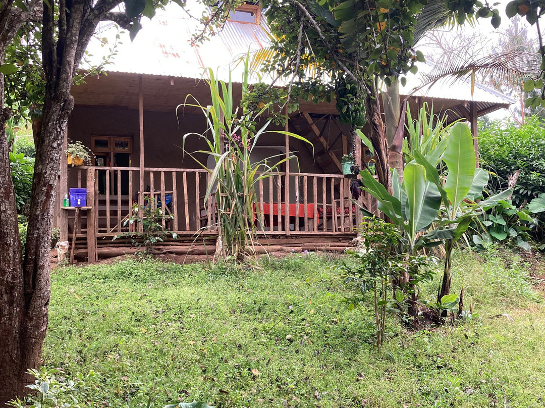 Magamba Eco-cultural Tourism-卢绍托必去景点