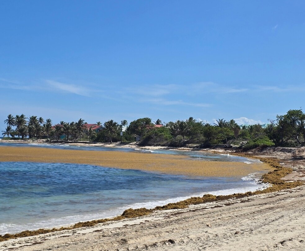 Plage des Raisins Clairs-Saint Francois必去景点