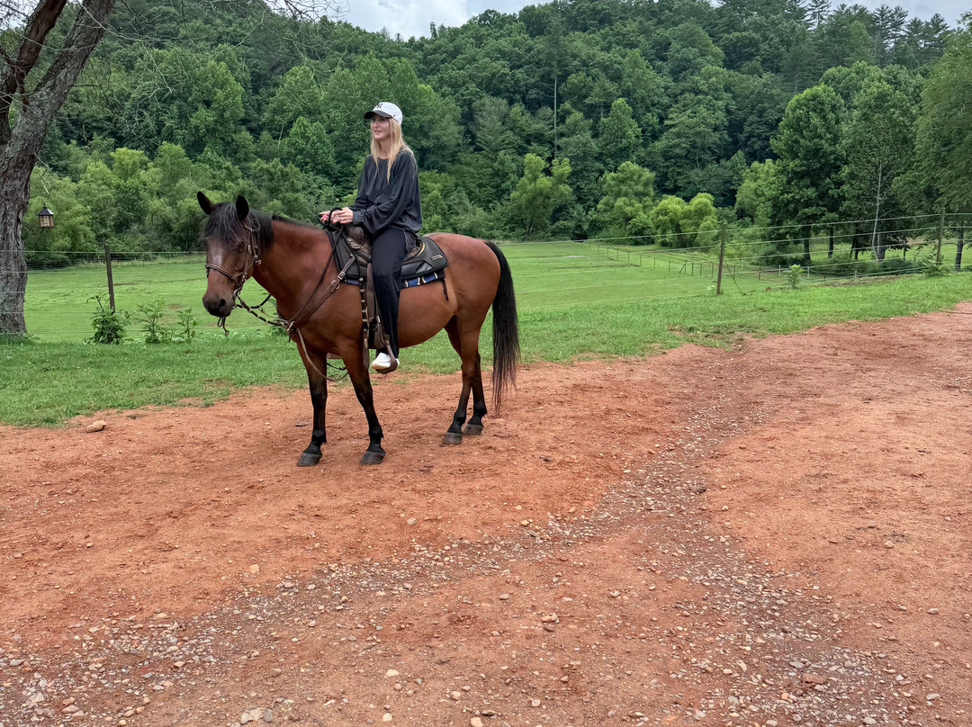 Appalachian Trail Rides-Mineral Bluff必去景点