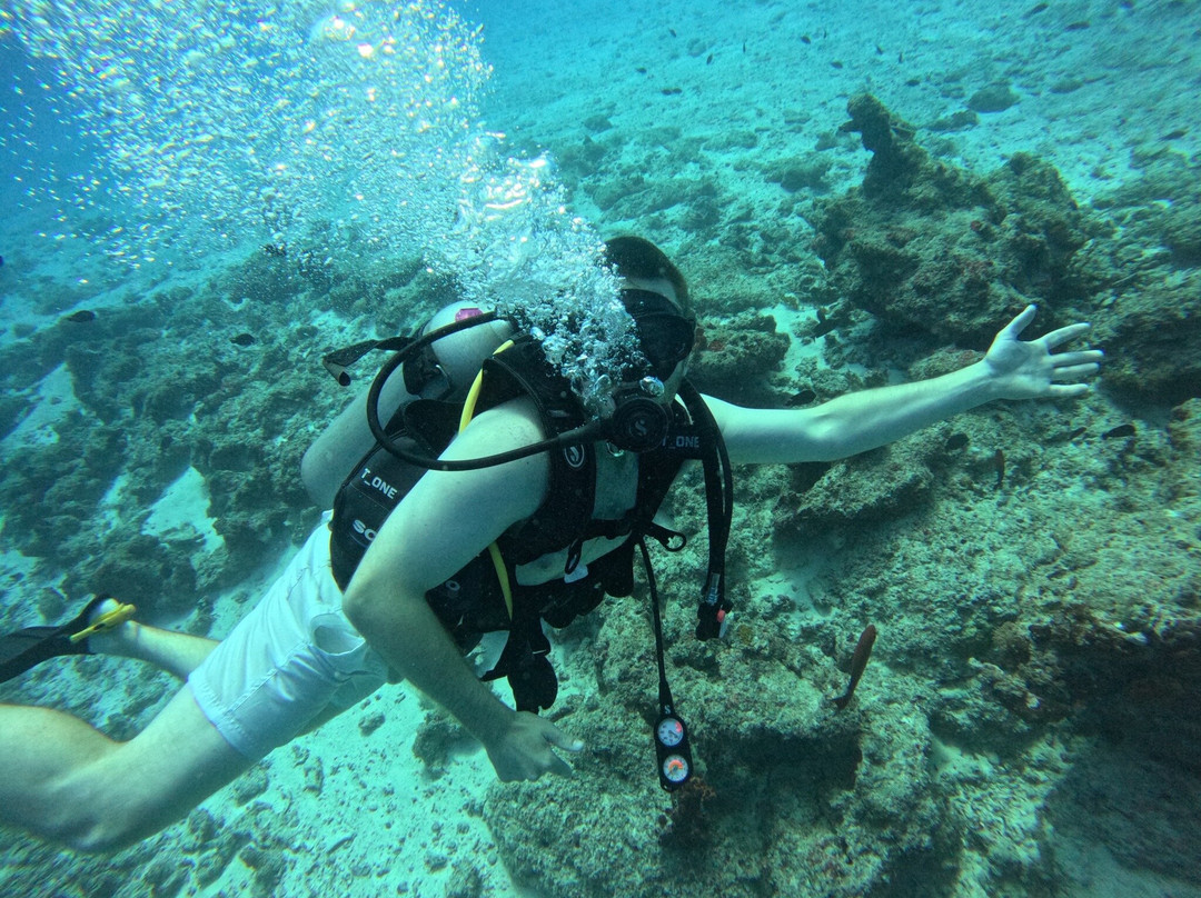 Dive Point Zanzibar-Matemwe必去景点