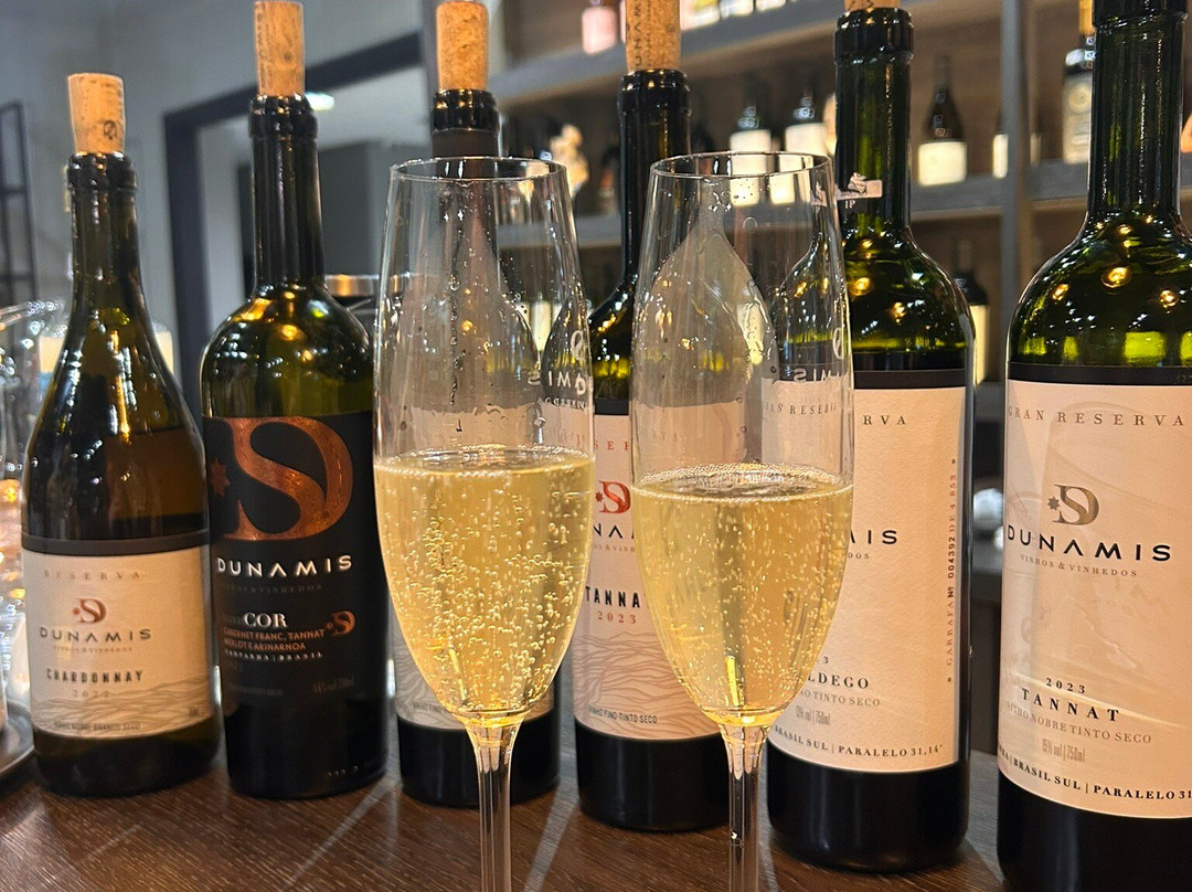 Loja - Dunamis Vinhos & Vinhedos-格拉玛多必去景点