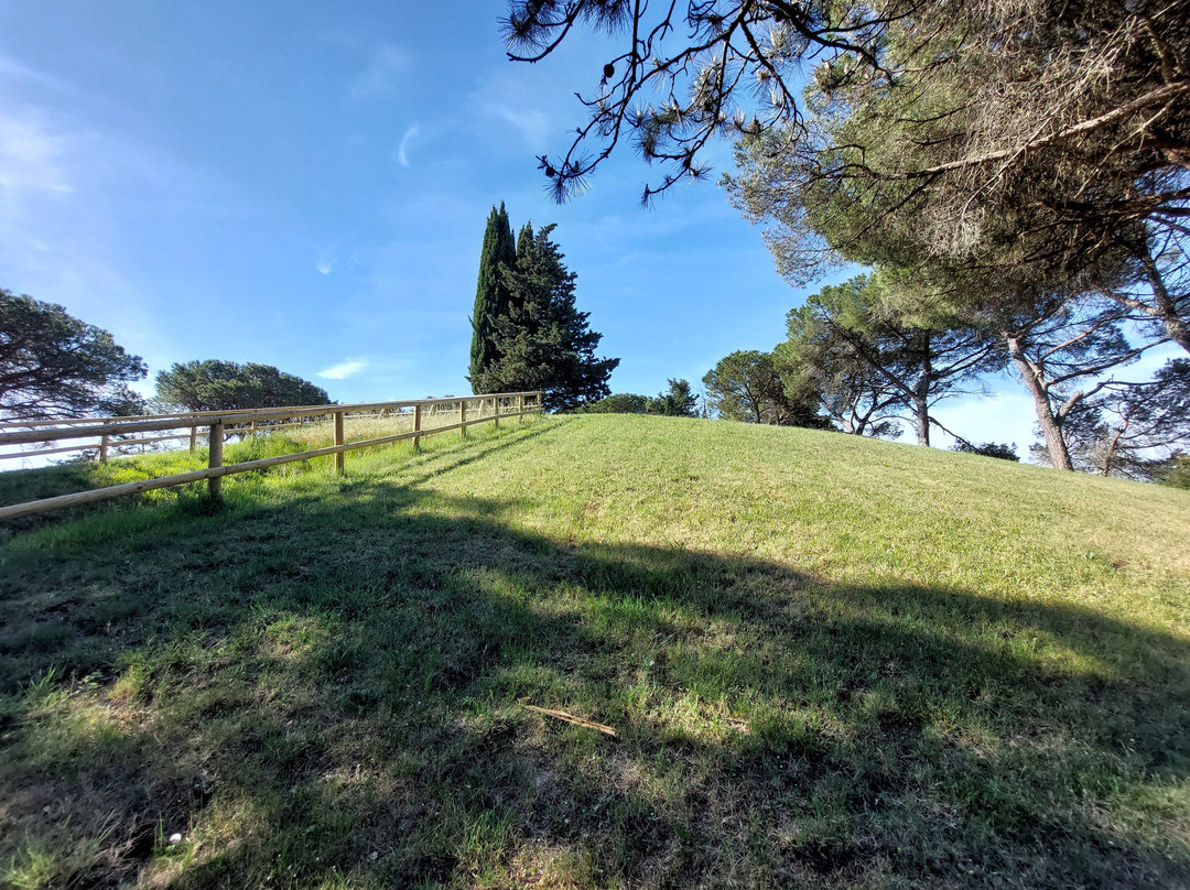 Tombe Etrusche a Montecalvario-卡斯特利纳－因基安蒂必去景点