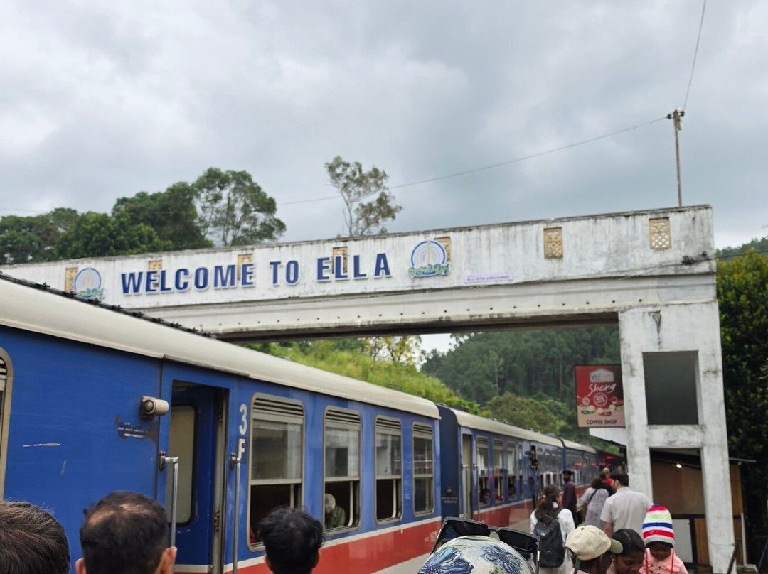 Nanuoya To Ella Train Ride-Nanu Oya必去景点