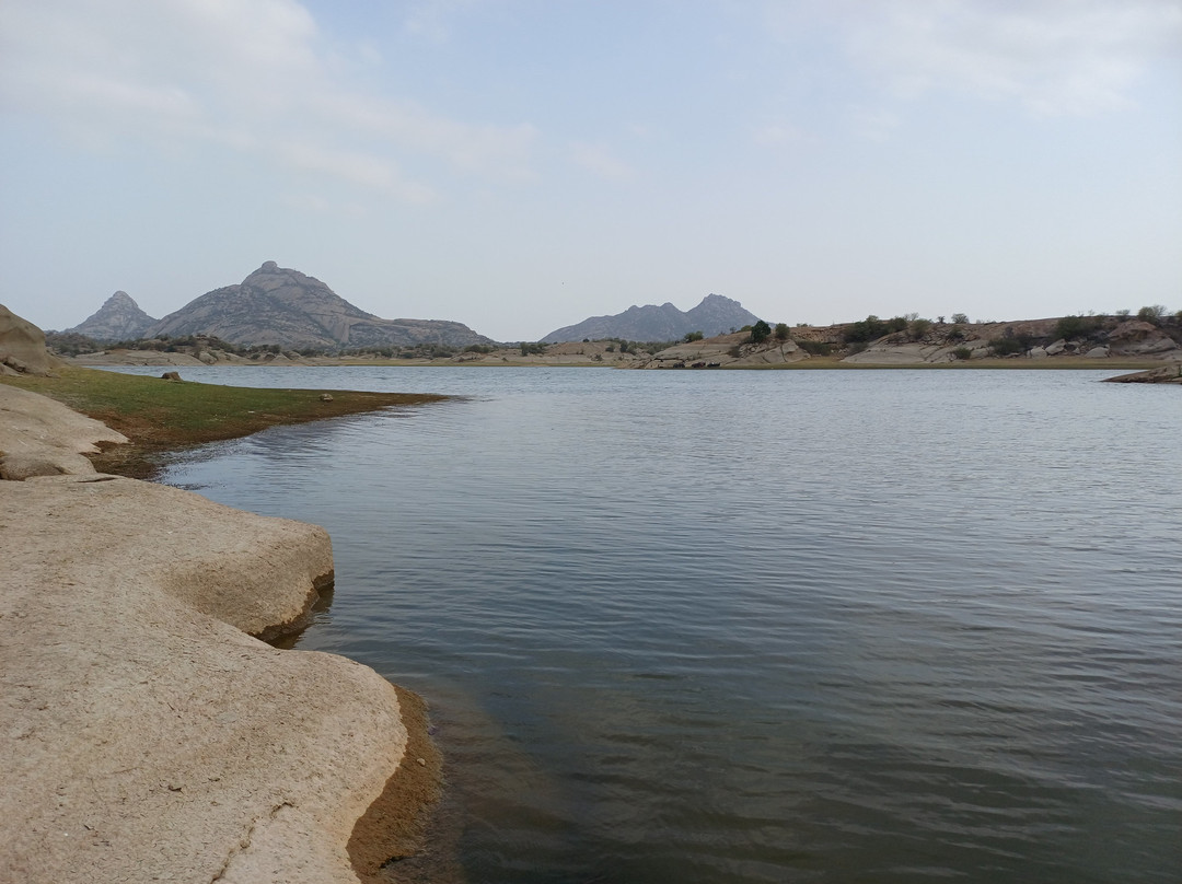 Jawai Balwant Vilas主图