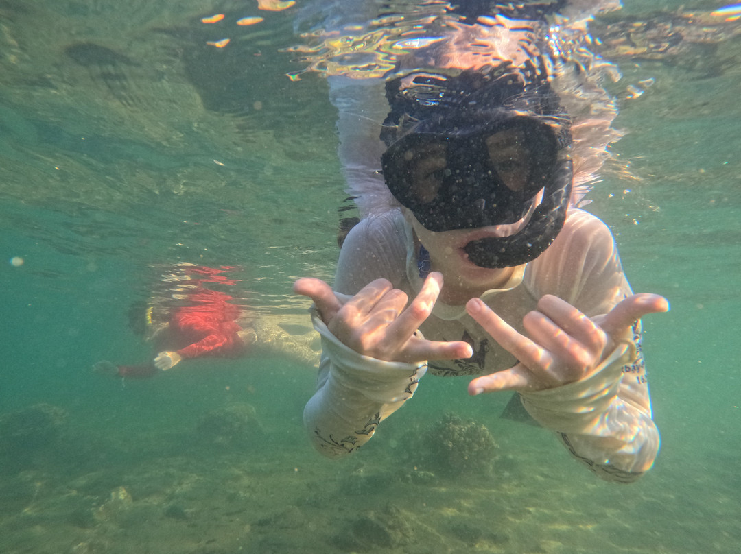 Tidal Tao Snorkeling Safaris-巴利托必去景点
