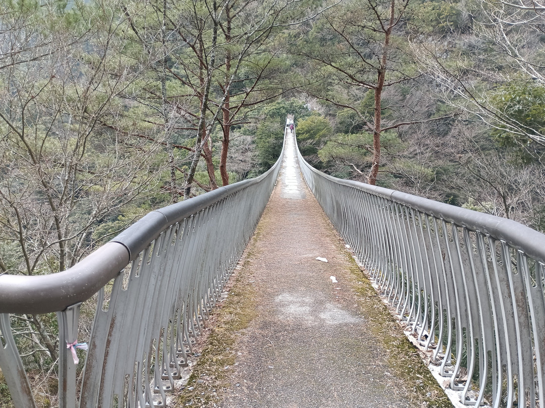 Supension Bridge, Umenoki Todoroki Park-八代市必去景点