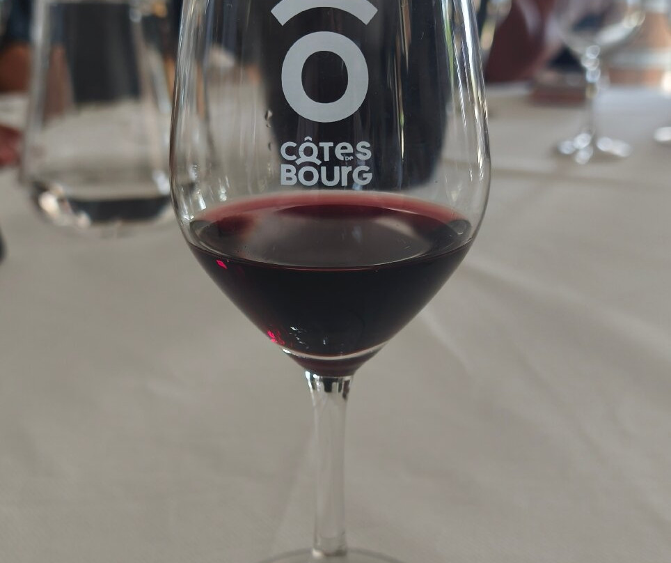 Maison des Vins des Côtes de Bourg-Bourg必去景点