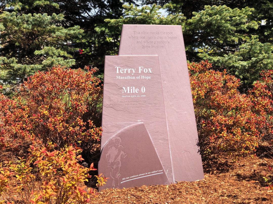 Terry Fox Monument-圣约翰必去景点