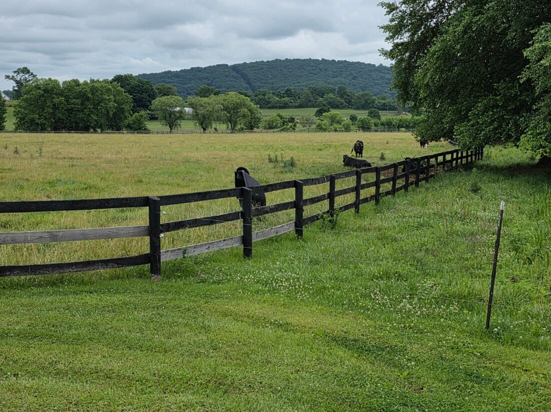 Ovoka Farm