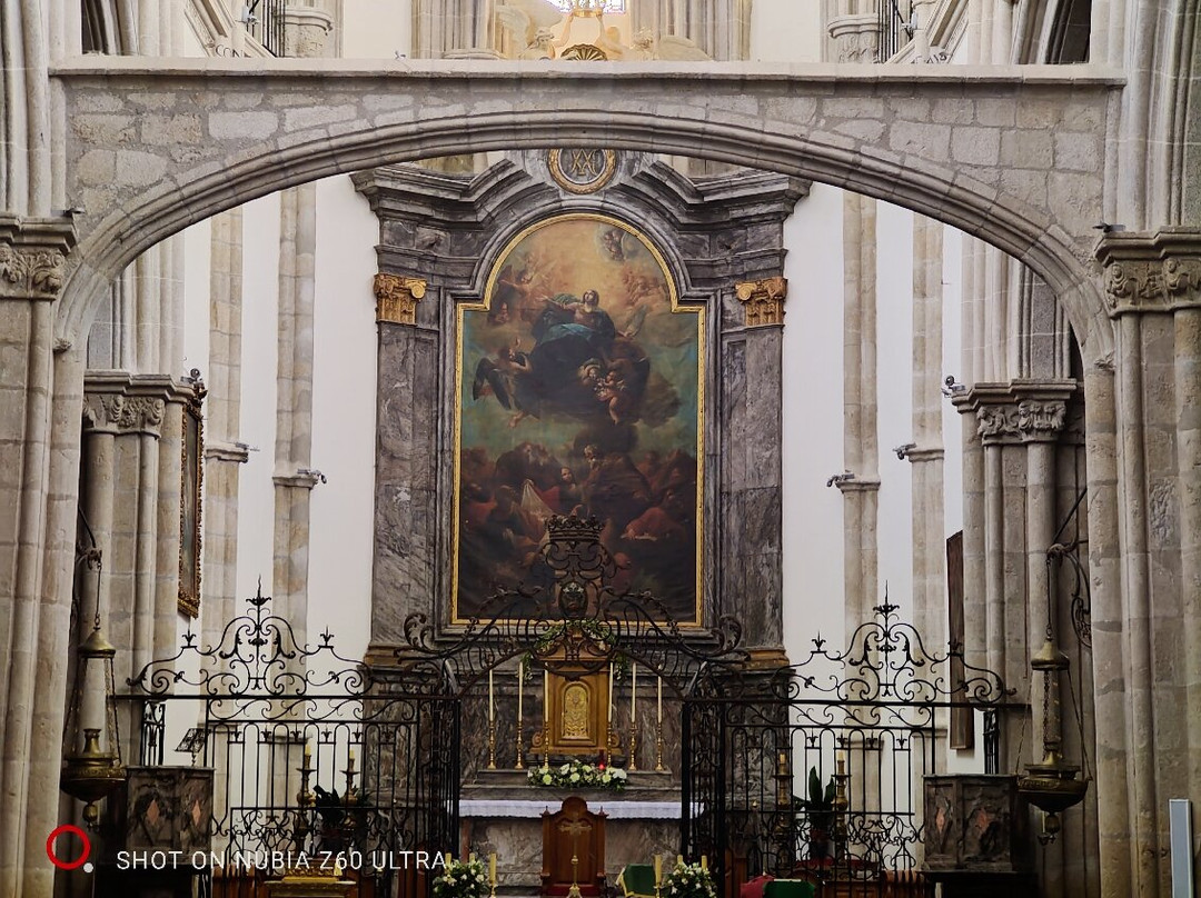 Colegiata de Santa María-塔拉韦拉-德拉雷纳必去景点