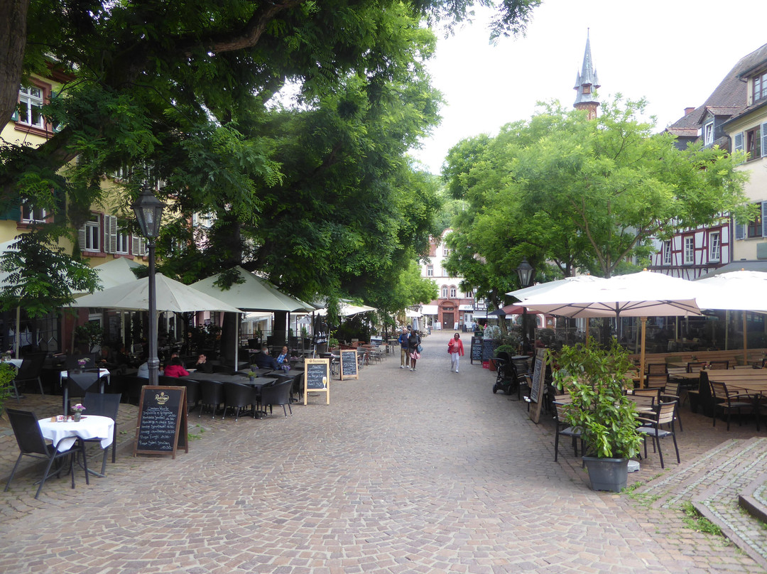 Altstadt Weinheim-魏因海姆必去景点