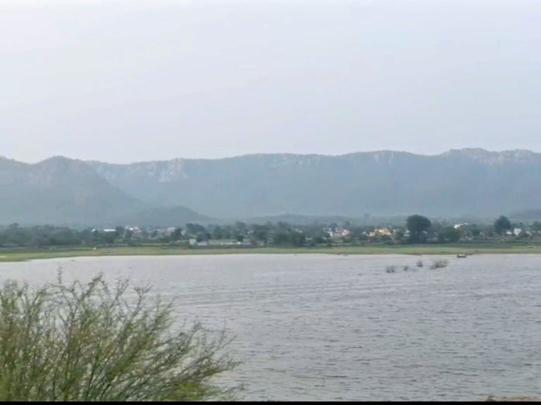 Neelkanth Forest Retreat主图
