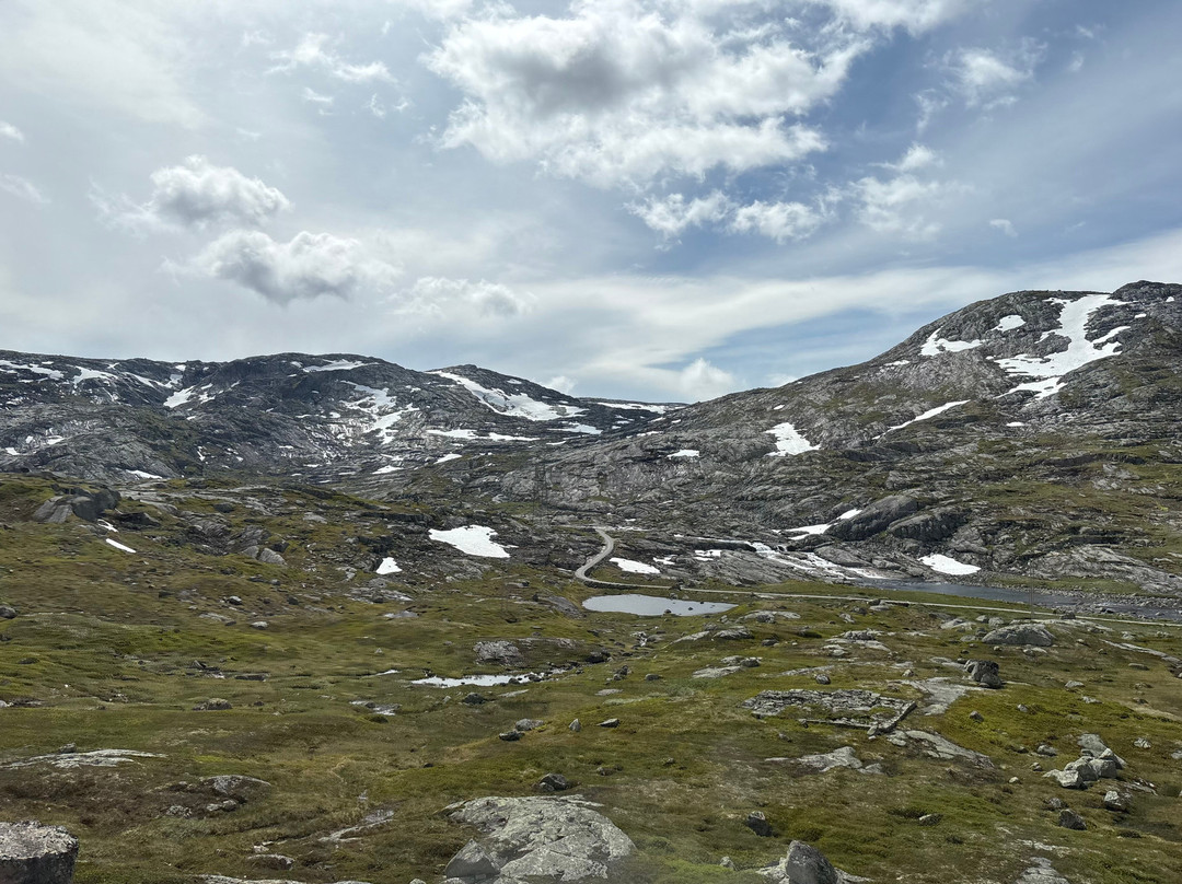 The Bergen Railway-奥斯陆必去景点