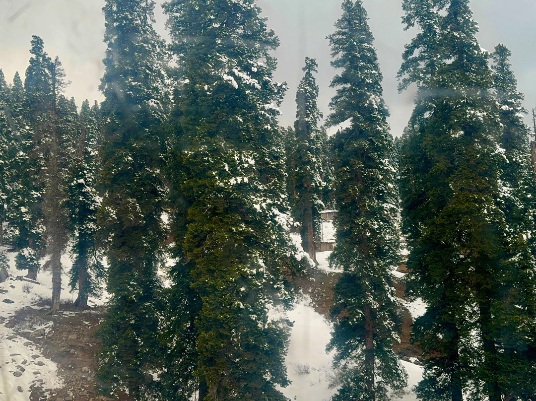 Gulmarg Gondola-贡马必去景点