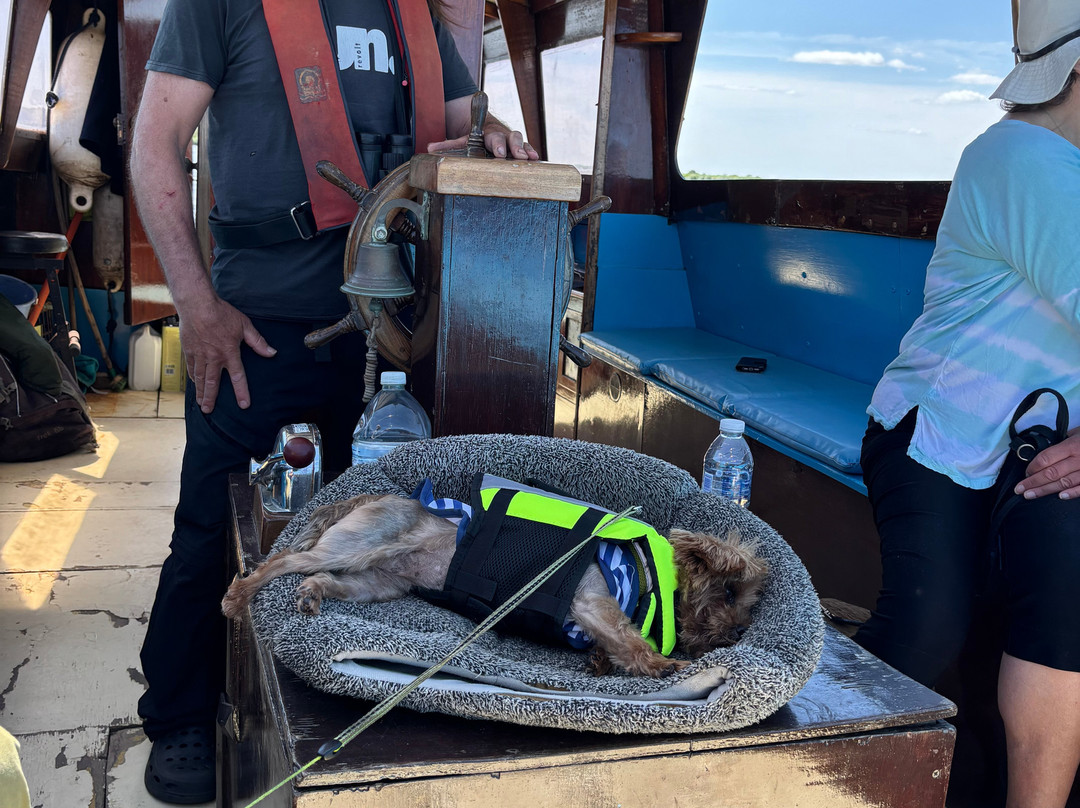 Ross' Wildlife Boat Trips-Mustard Hyrn必去景点