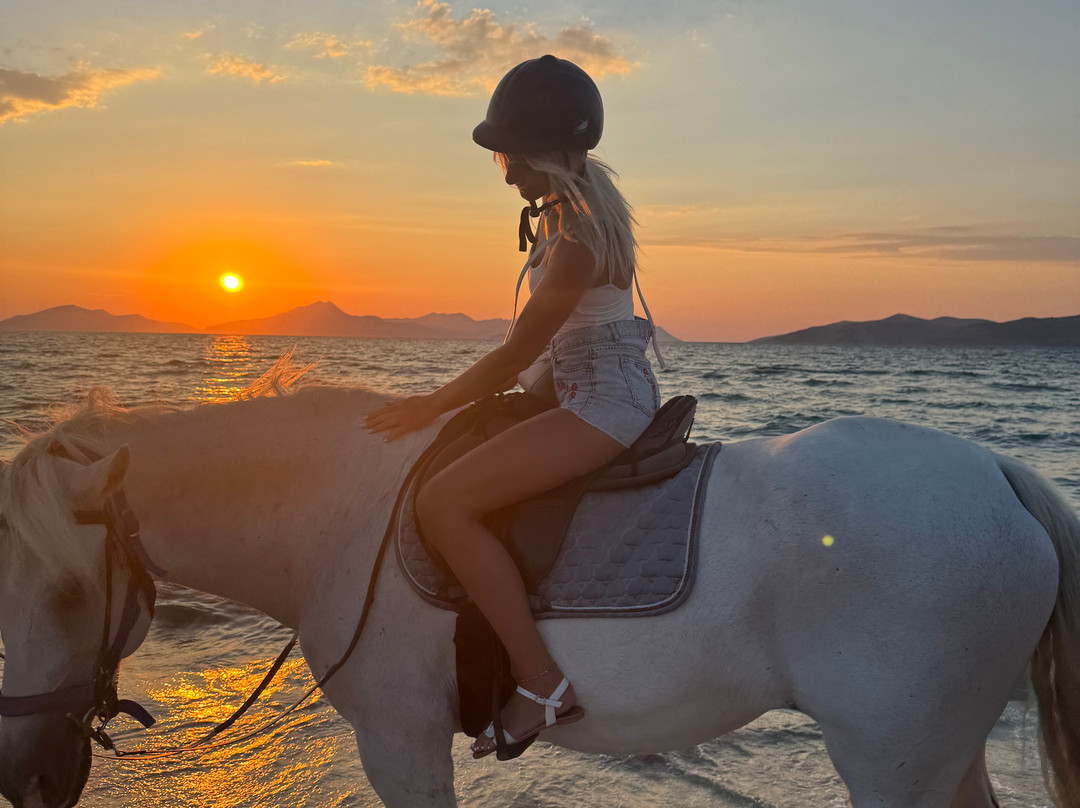 Erika's Horse Farm Kos-Marmari必去景点