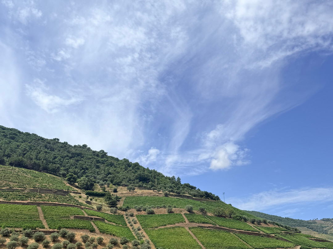 Douro Tours-Pinhao必去景点