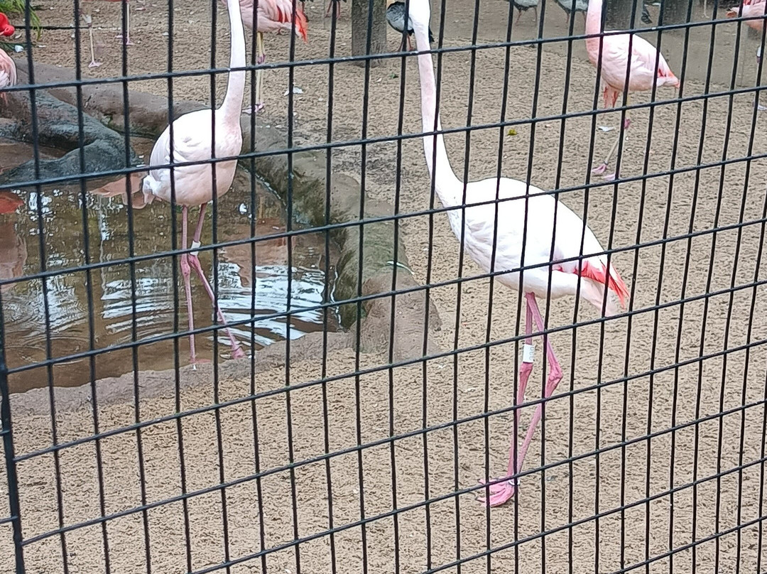 Cataratas JL Shopping-伊瓜苏必去景点