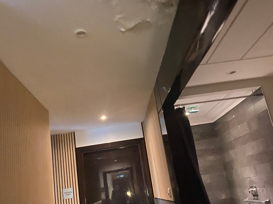 里昂周边沙博尼耶尔莱班圣廷苑水疗酒店主图