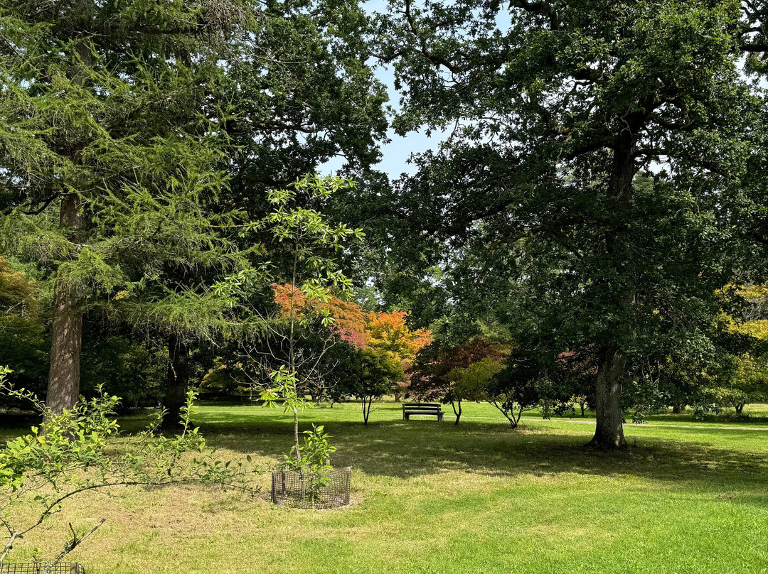 Westonbirt Arboretum-泰特伯里必去景点