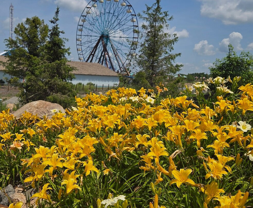 Lost Island Themepark-Waterloo必去景点