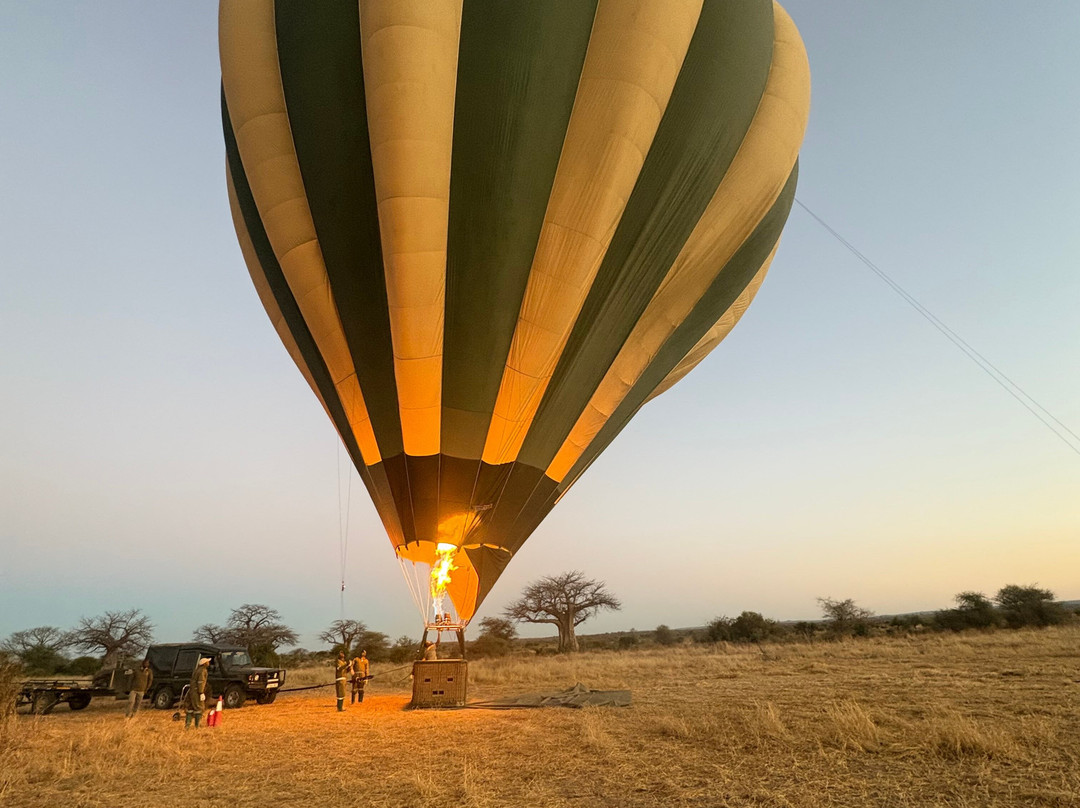 Serengeti Balloon Safaris-塞伦盖蒂国家公园必去景点