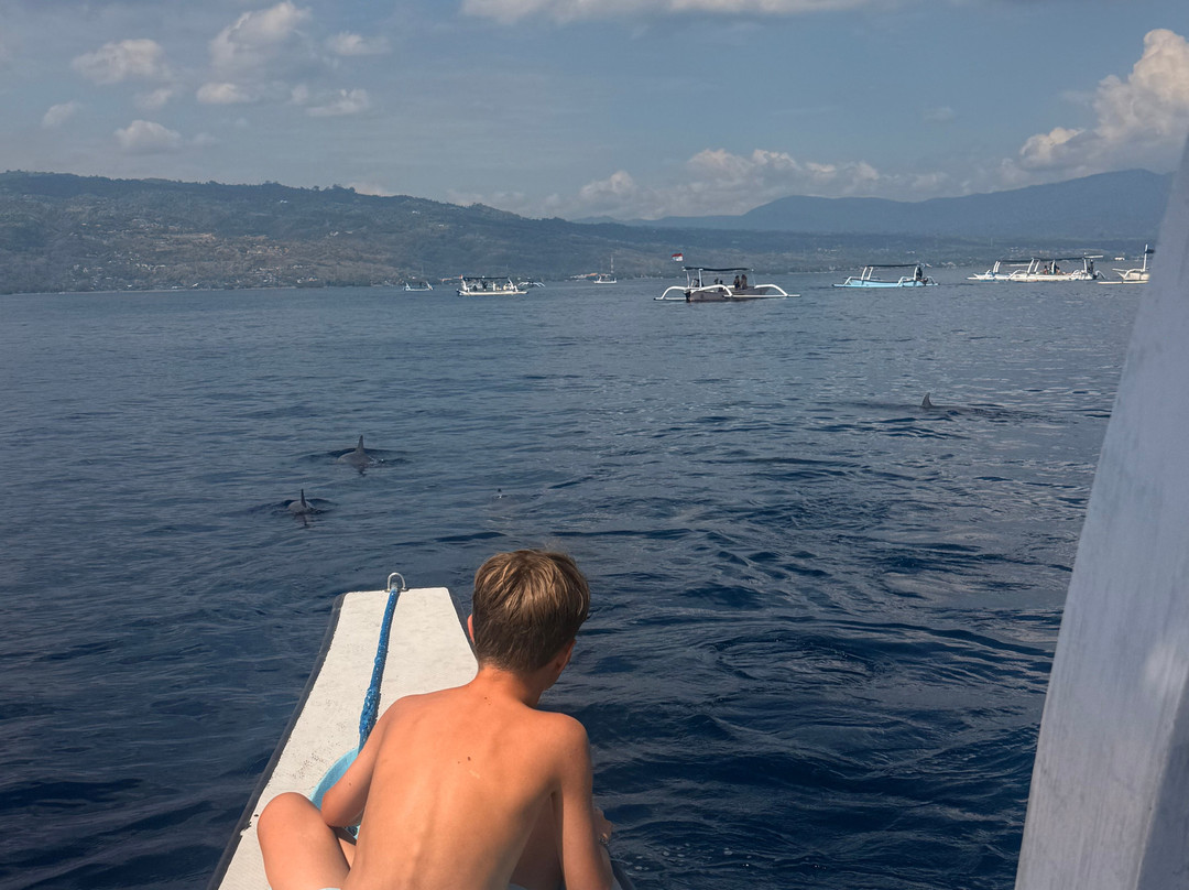 dolphin Lovina tours-罗威那海滩必去景点