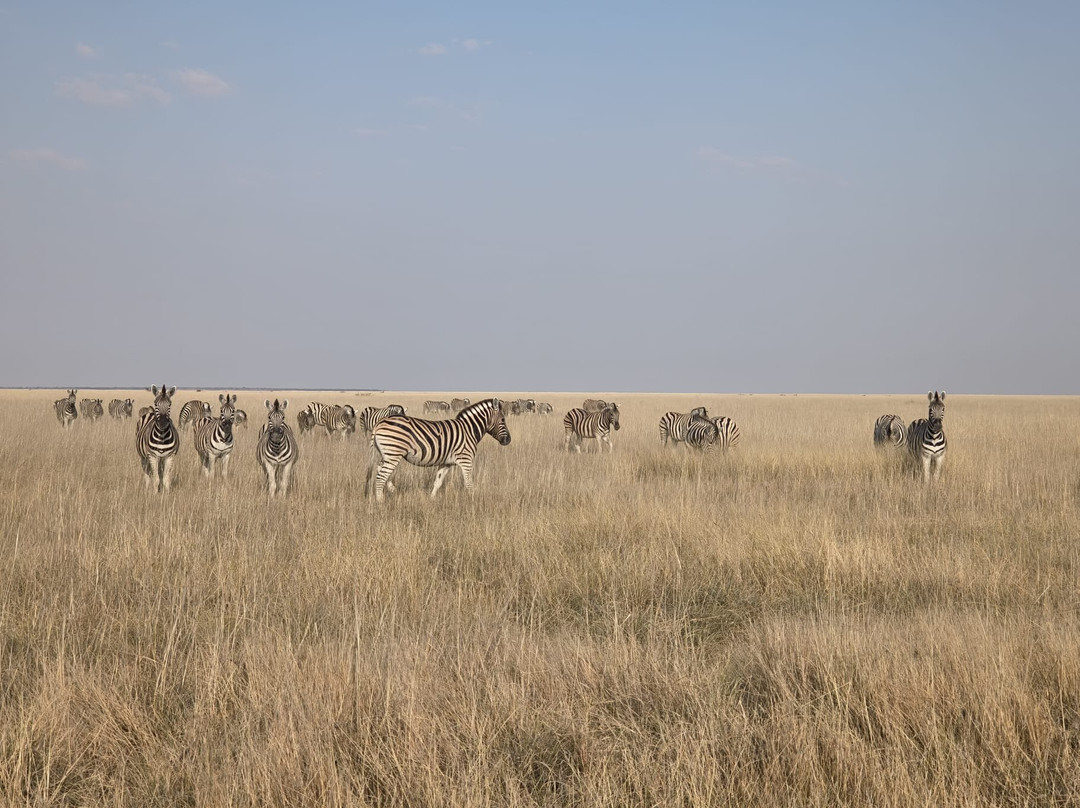 Nature Travel Namibia-温德和克必去景点