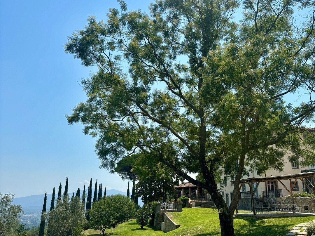 Tenuta di Valgiano-卢卡必去景点
